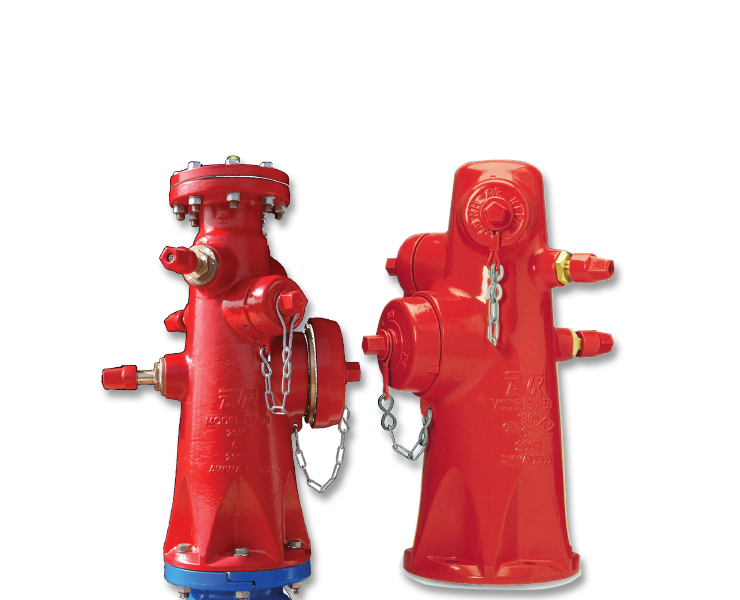 Wet barrel hydrants for fire protection