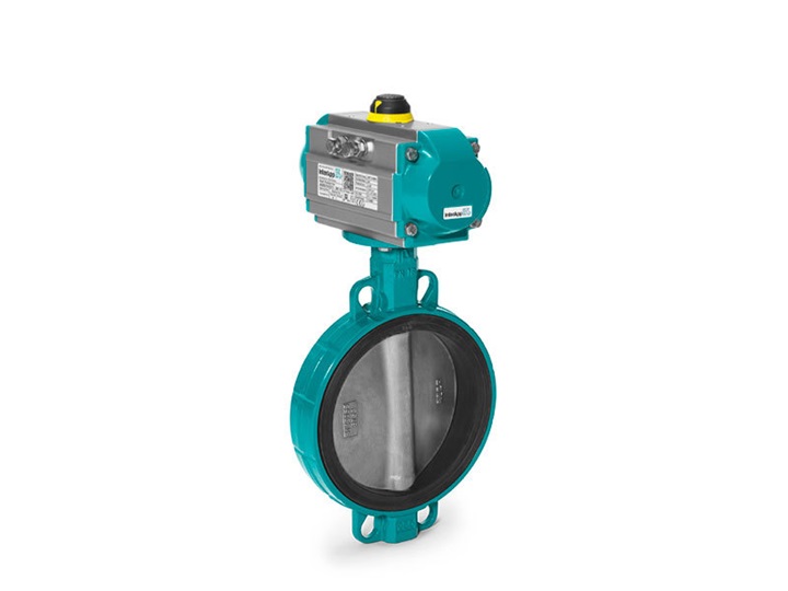 Desponia Plus butterfly valve Interapp