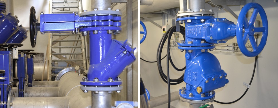 Ball check valve and swing check valve installed
